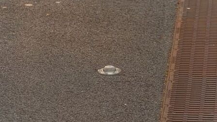 Kattenoog op parkeerplaats bij het theater in Barneveld