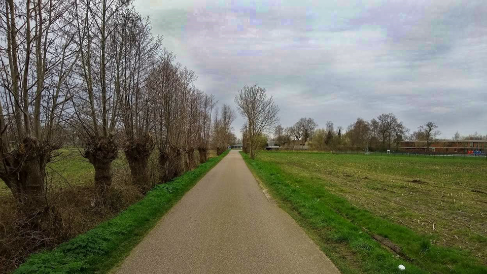 Landschap Oostbroek bestaand uit weg met knotwilgen en links en rechts weilanden