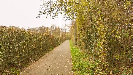 Thorbeckestraat in Barneveld. Geen sociale controle op het pad en dus zou hier geen verlichting moeten staan want het licht zorgt voor schijnveiligheid
