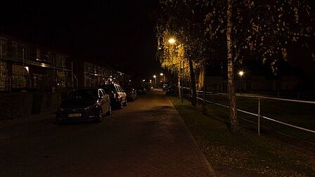 Ericaweg in Stroe. Lantaarnpaal staat in de boom en geeft minder licht meer op de weg