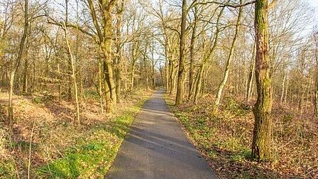 Paleisweg in Garderen, recreatief fietspad door bos dat niet is verlicht